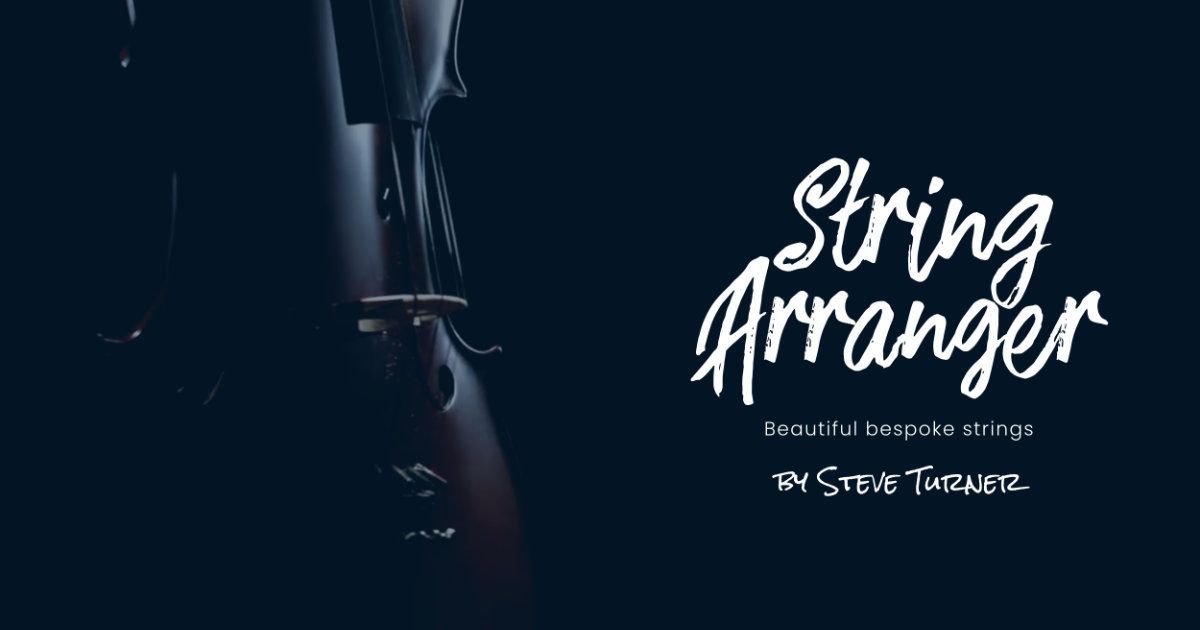 STEVE TURNER DESIGN LIMITED logo