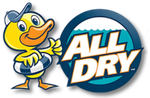 Cartoon duck mascot beside blue “ALL DRY” logo on white background