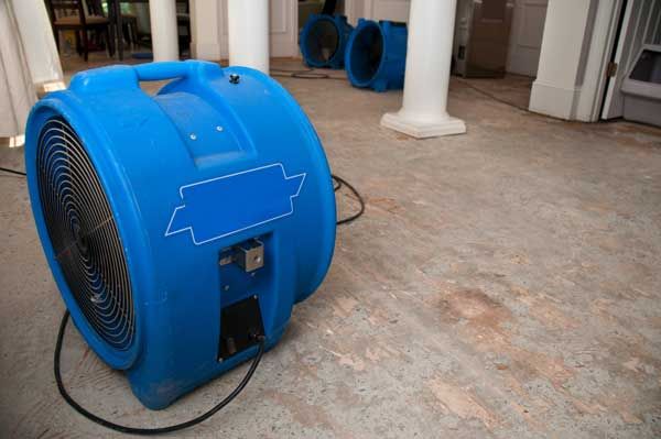 Blue industrial floor fan on a concrete floor indoors