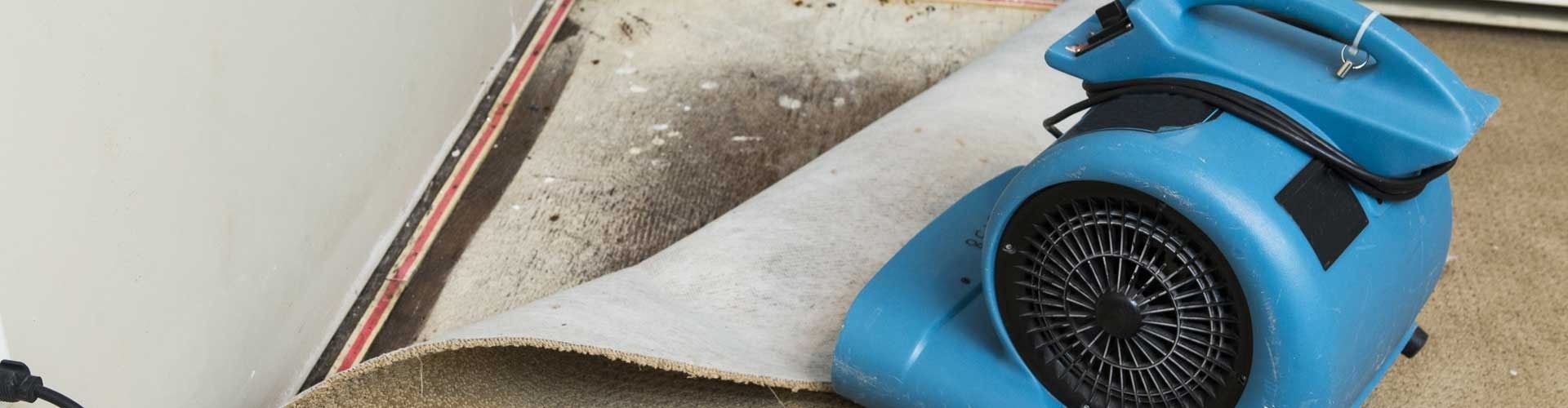 Blue portable blower fan on a carpeted floor near a white wall and trim, with a black cord attached