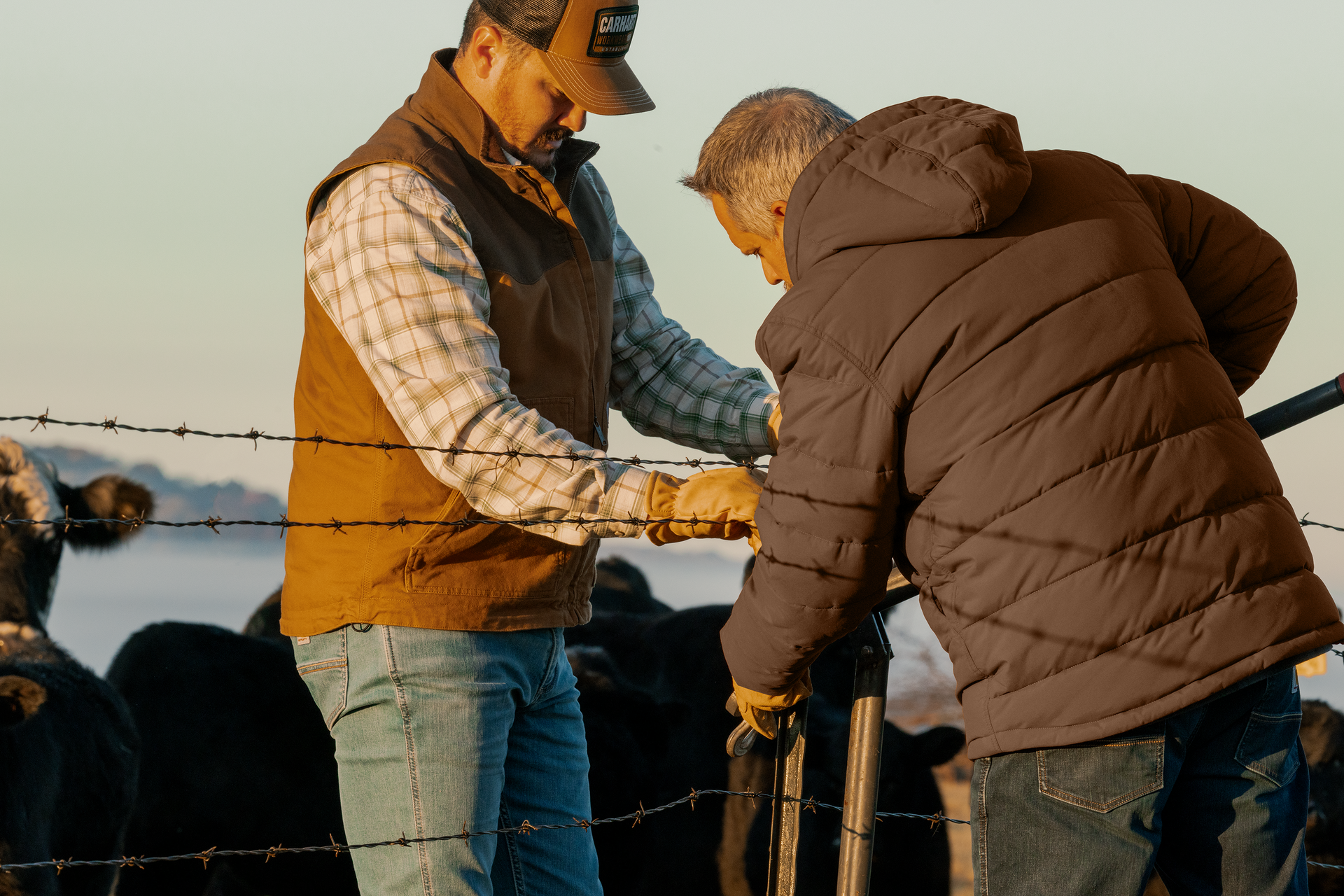 Two men repairing a barbed wire fence with cattle in the background.