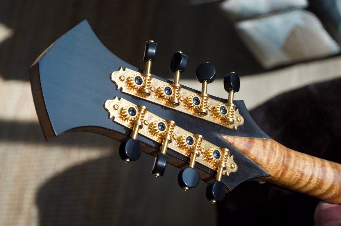 Ebony veneer on back of Funston A5 headstock