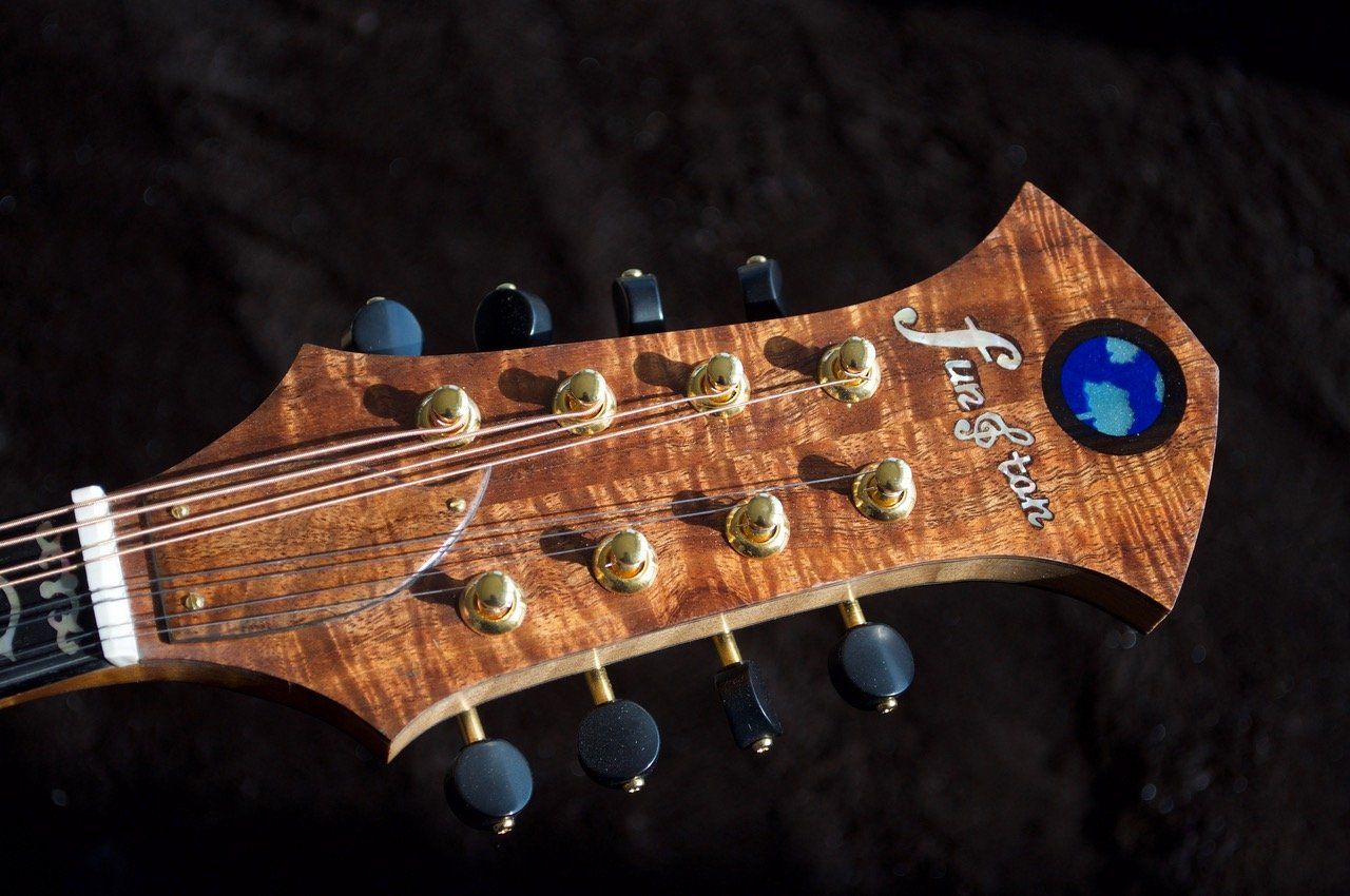 Funston A5 headstock with World Tree logo
