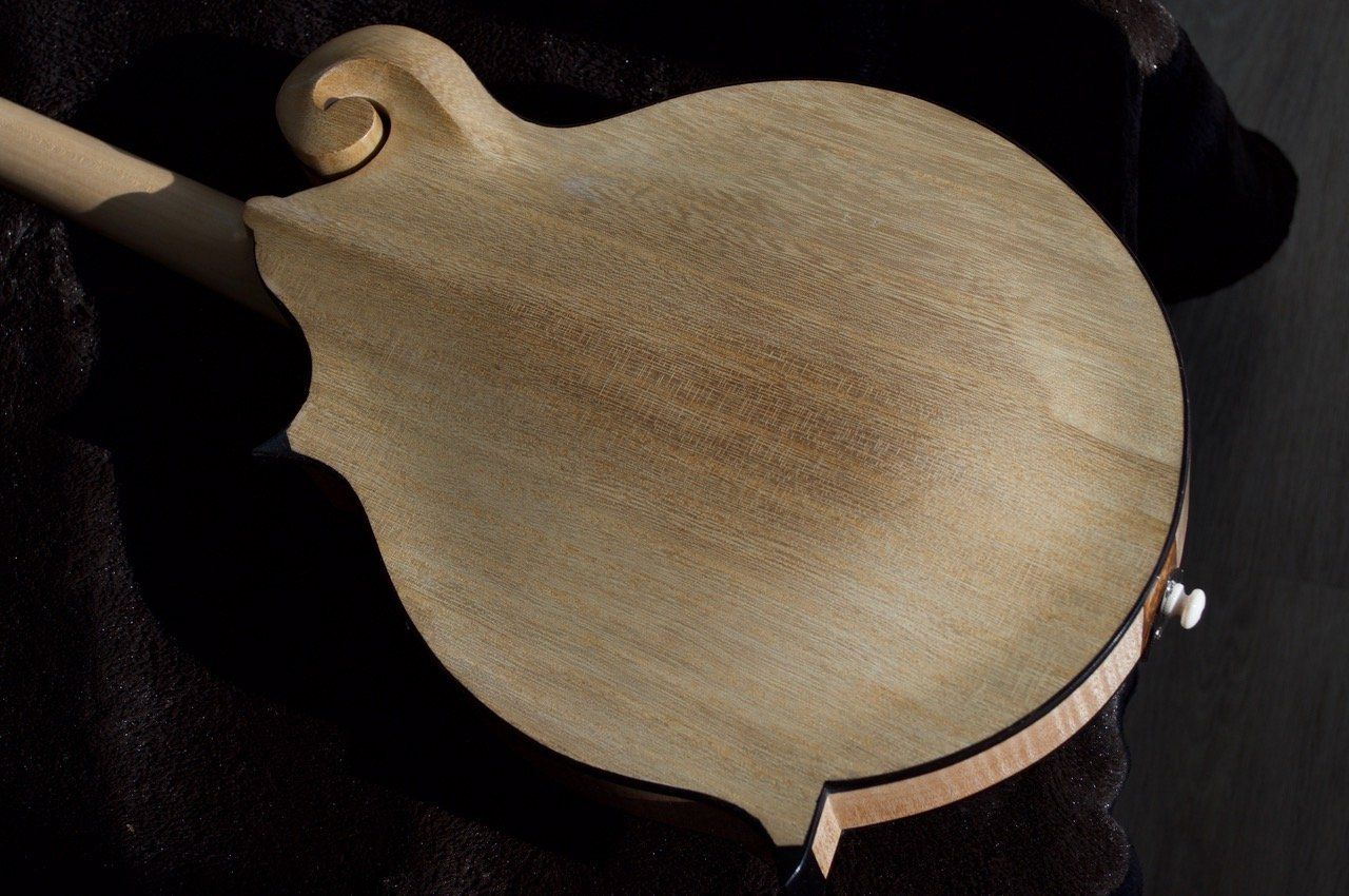 Paulownia back of F5 mandolin