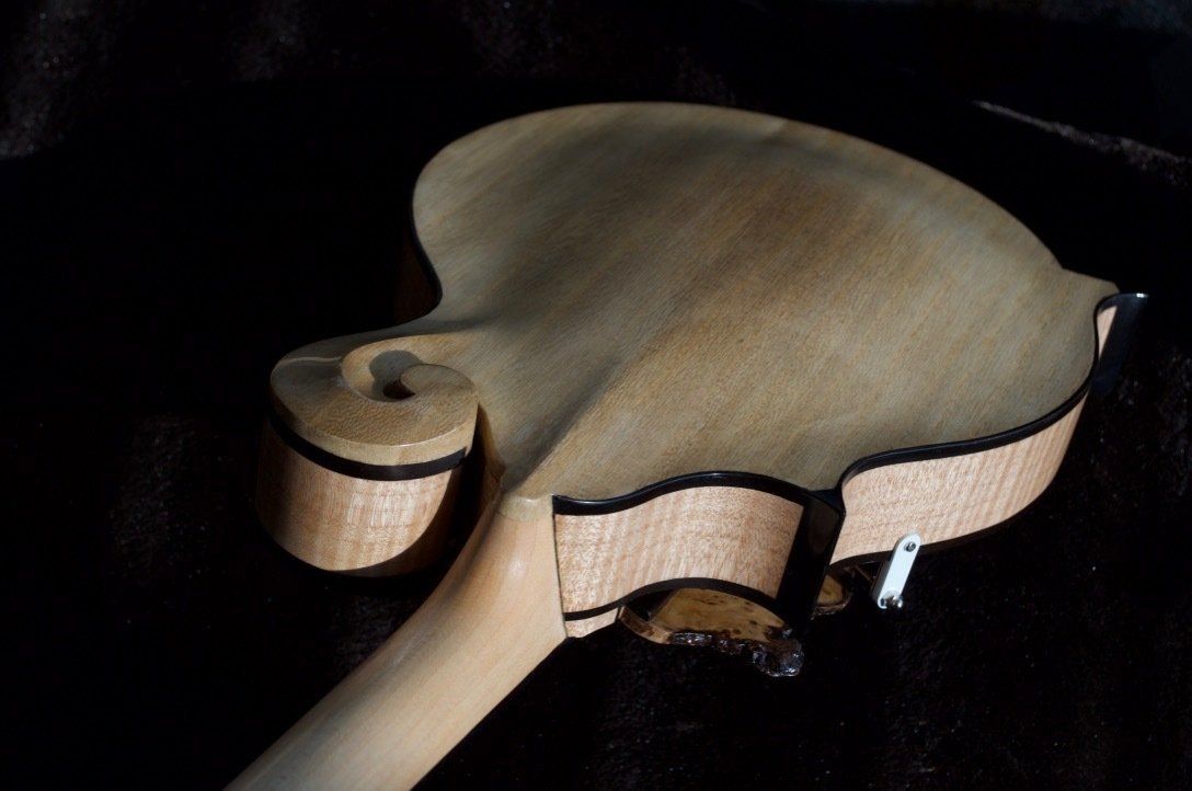 Pack of F5 Mandolin