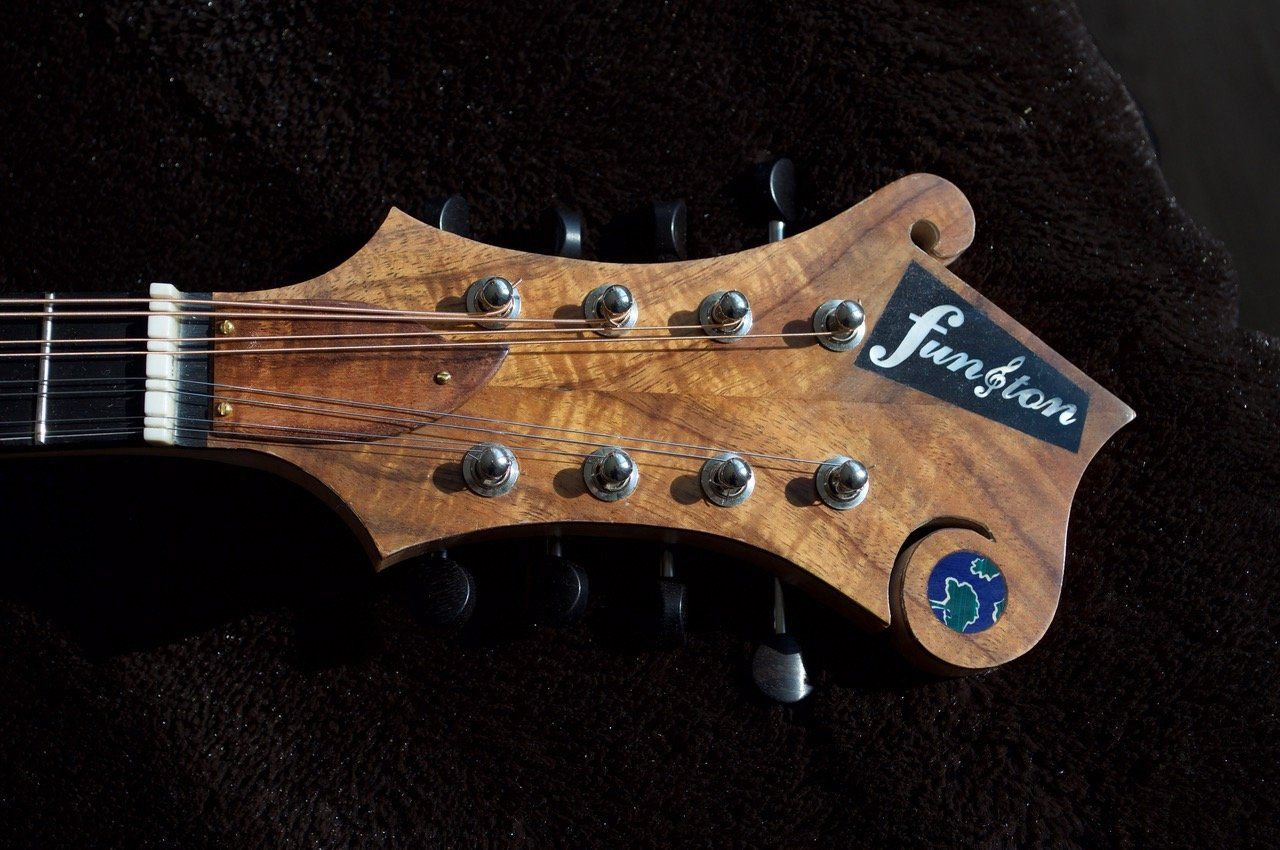F5 headstock with World Tree logo
