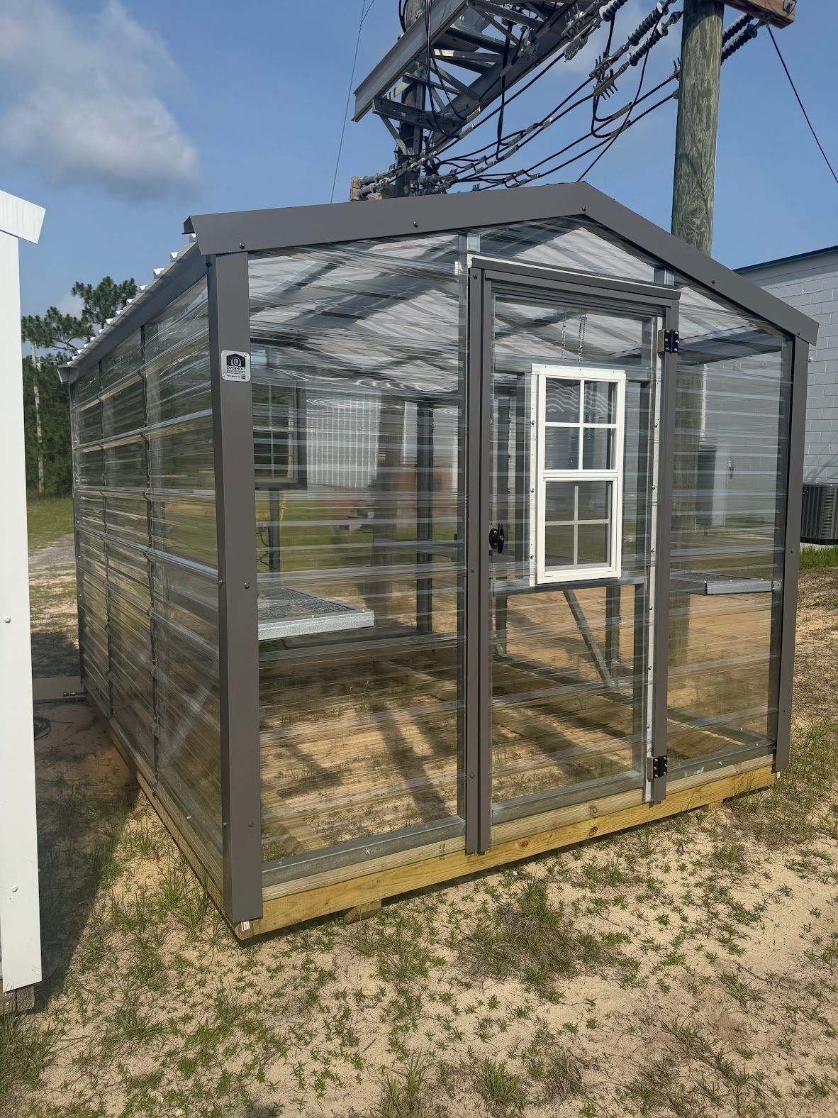 8x10 Greenhouse 120126