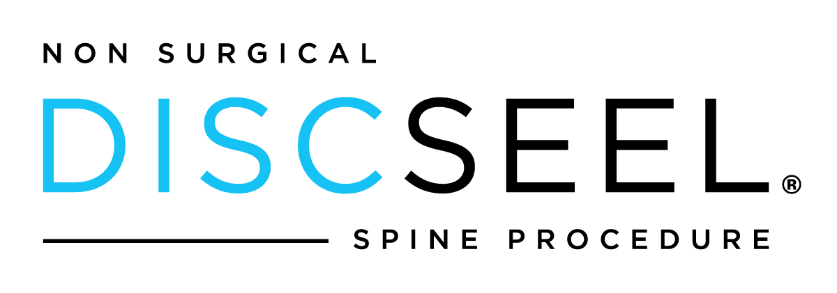 Logo for DISCSEEL, a non-surgical spine procedure. The word