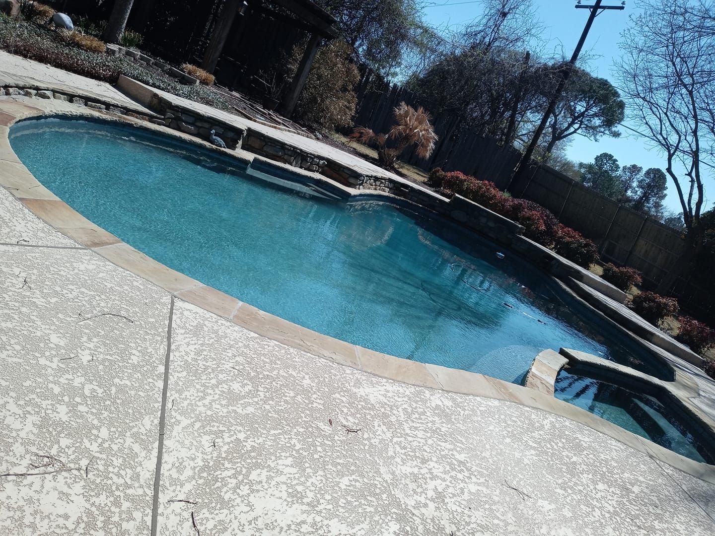 Curved backyard swimming pool with turquoise water and a stone deck under a clear blue sky