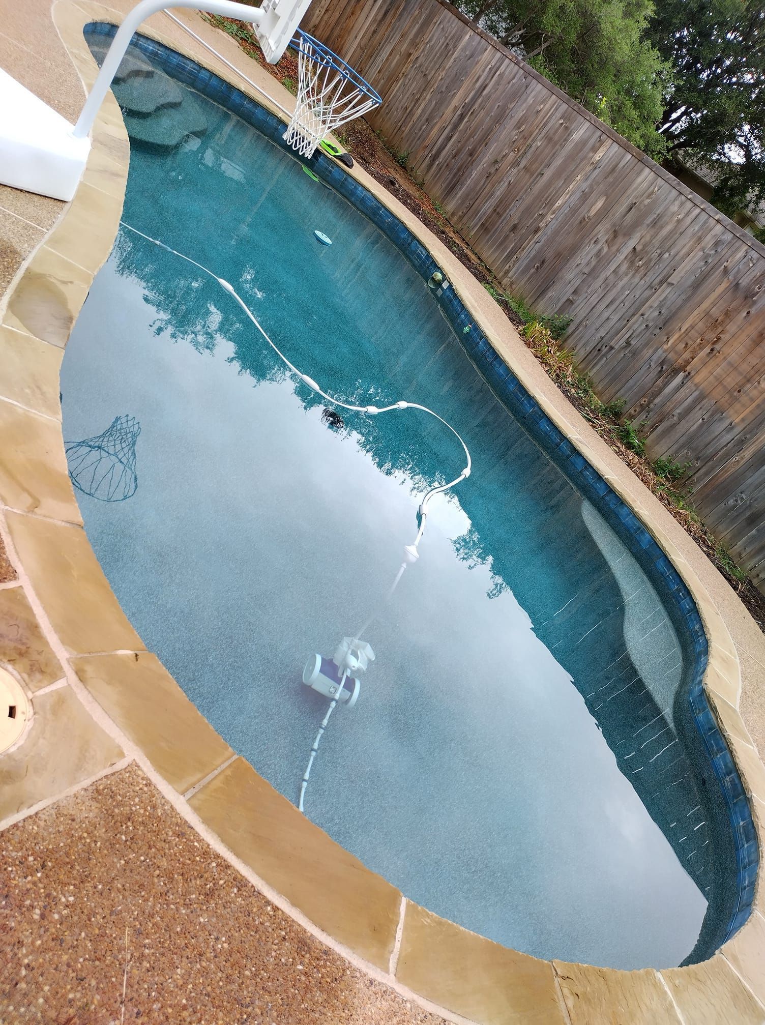 Empty backyard swimming pool with blue water, tan deck, and wooden fence