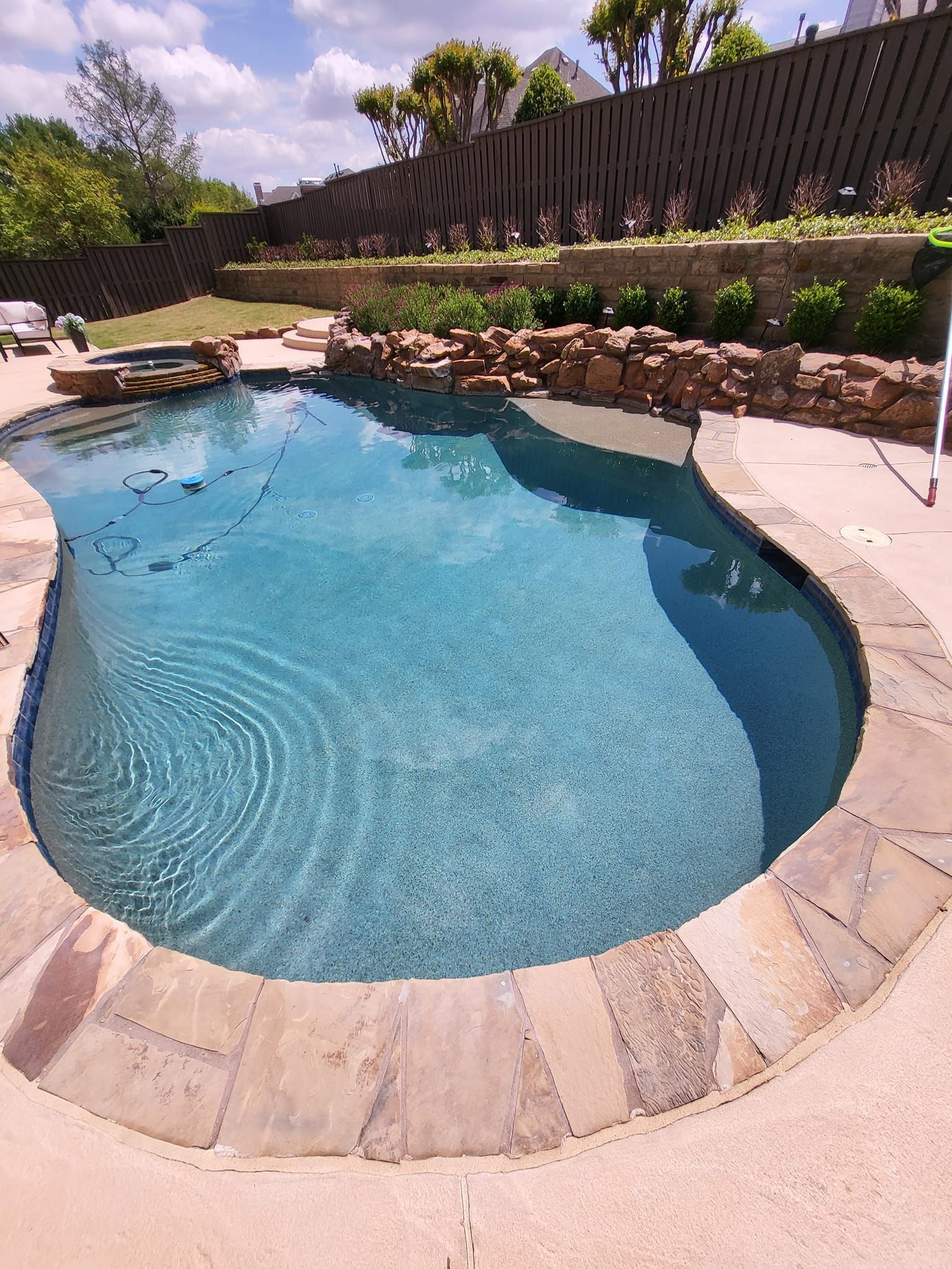 Curved backyard pool with blue water, stone coping, and desert landscaping under bright sun