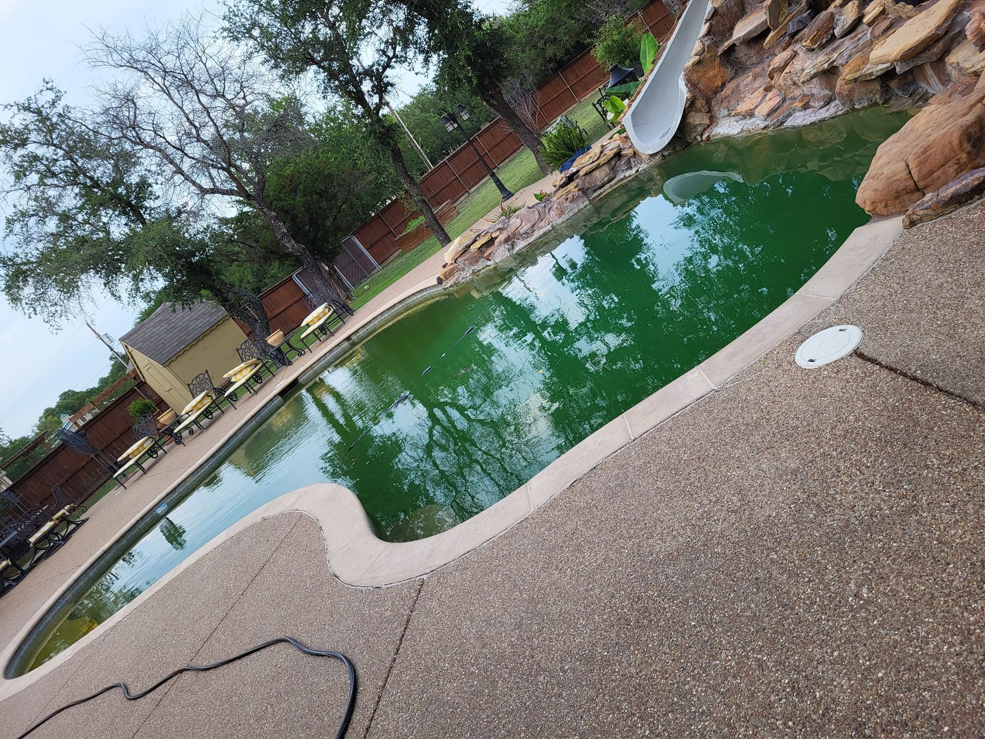 Tilted view of an empty backyard pool with green water, stone deck, and trees nearby