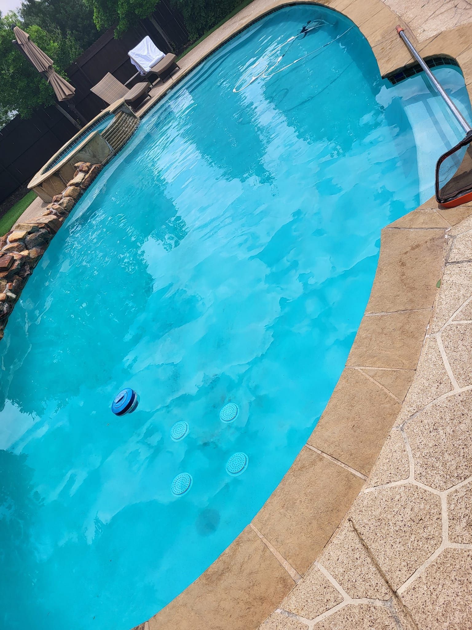 Curved backyard swimming pool with bright blue water and a stone patio edge
