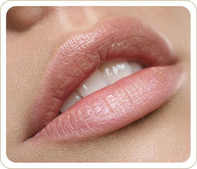 Lippenaufbau