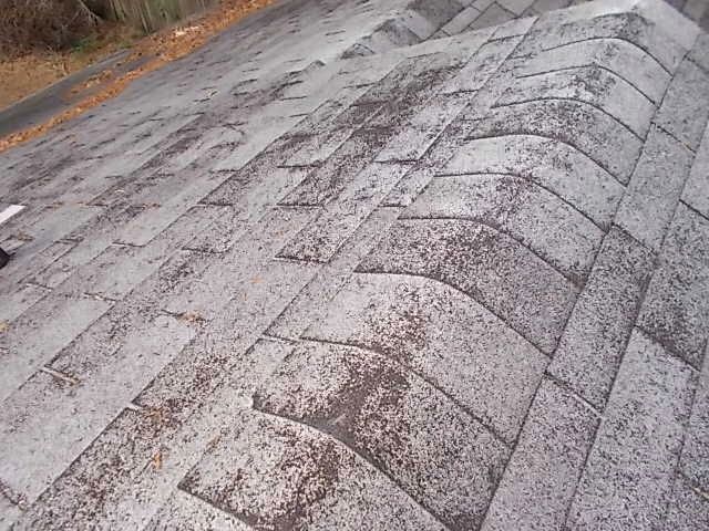 Close-up of a weathered gray shingled roof on a steep slope, with leafless trees in the background