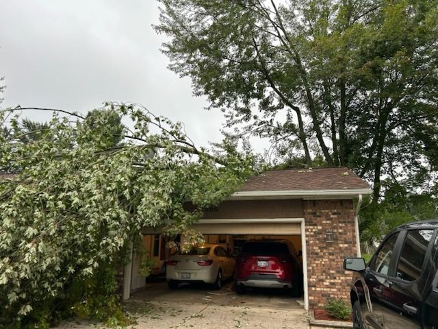 Two cars parked in a garage beside a house, with a tree leaning over the driveway