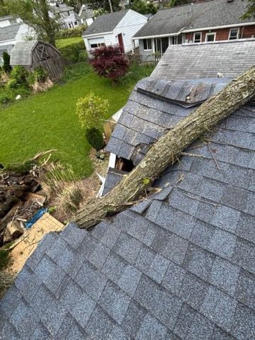 Roof shingles with a large fallen tree trunk across them, seen from above in a residential yard