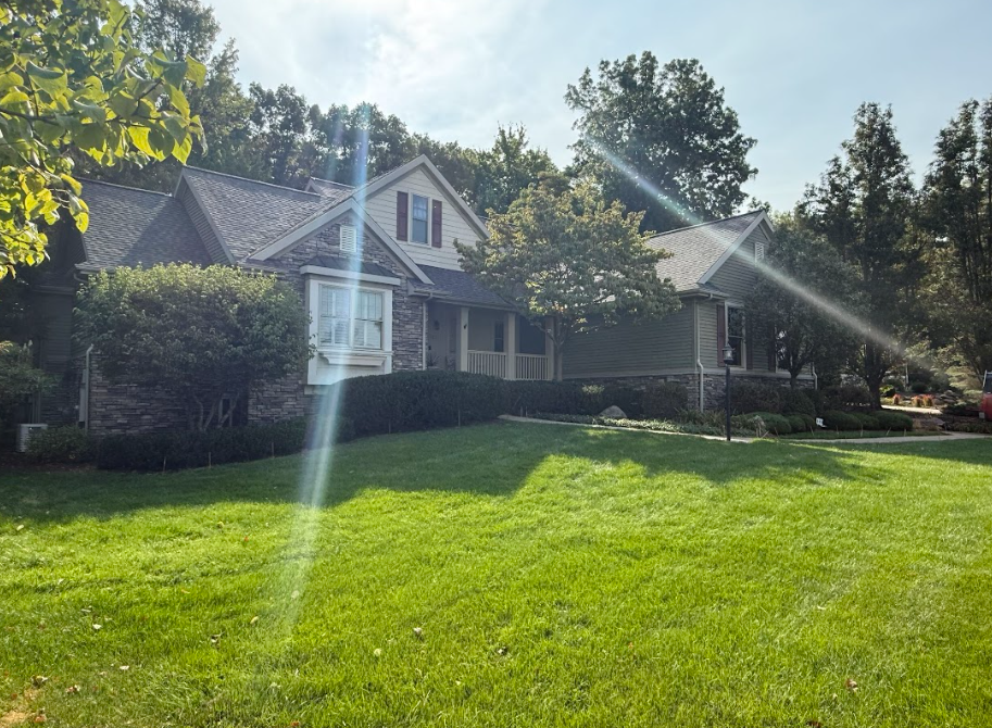 Suburban house with white trim and a large green lawn in bright sunlight, with trees in the background
