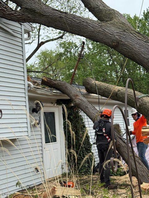 Crew removing a fallen tree from a house roof as workers in orange helmets cut branches.