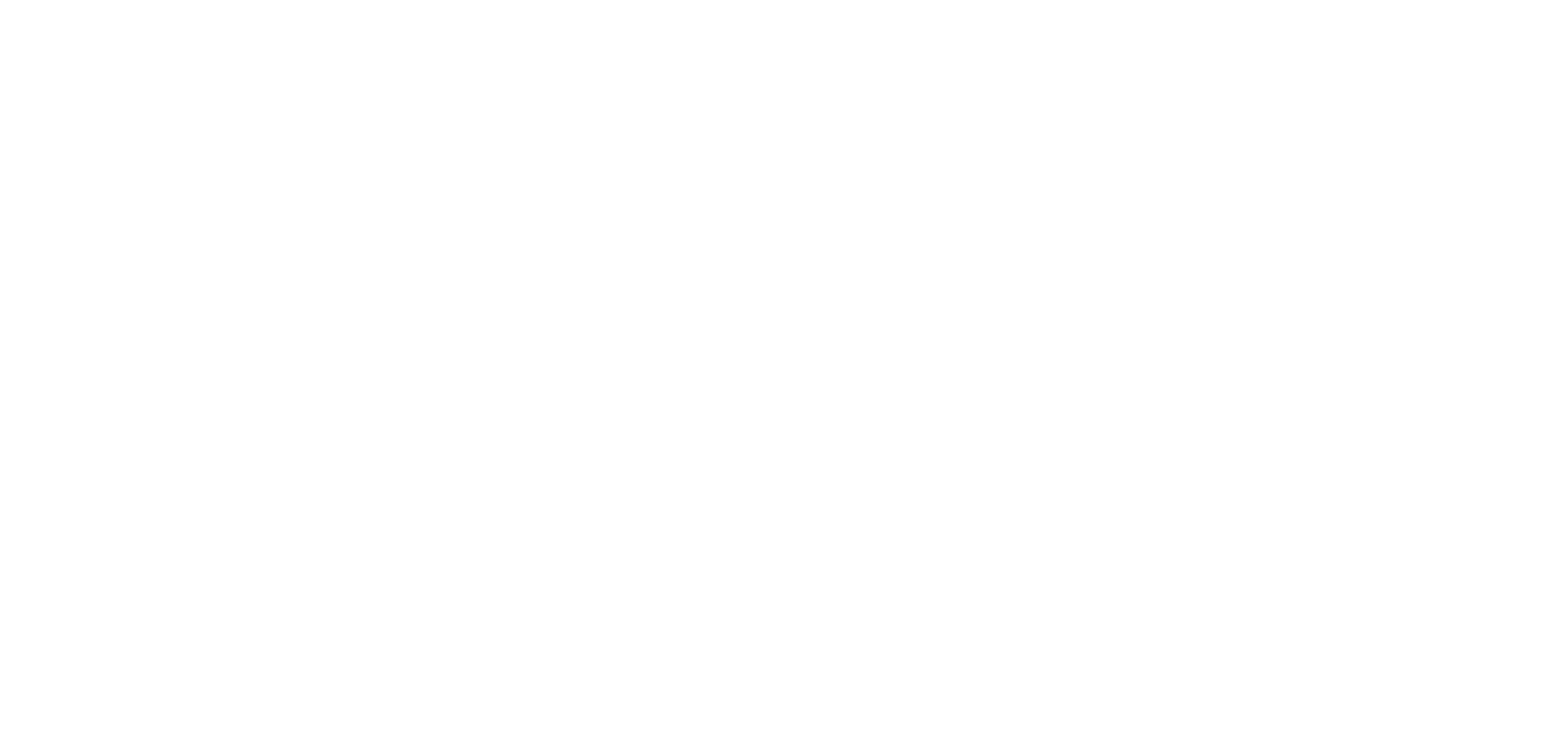copy of white logo