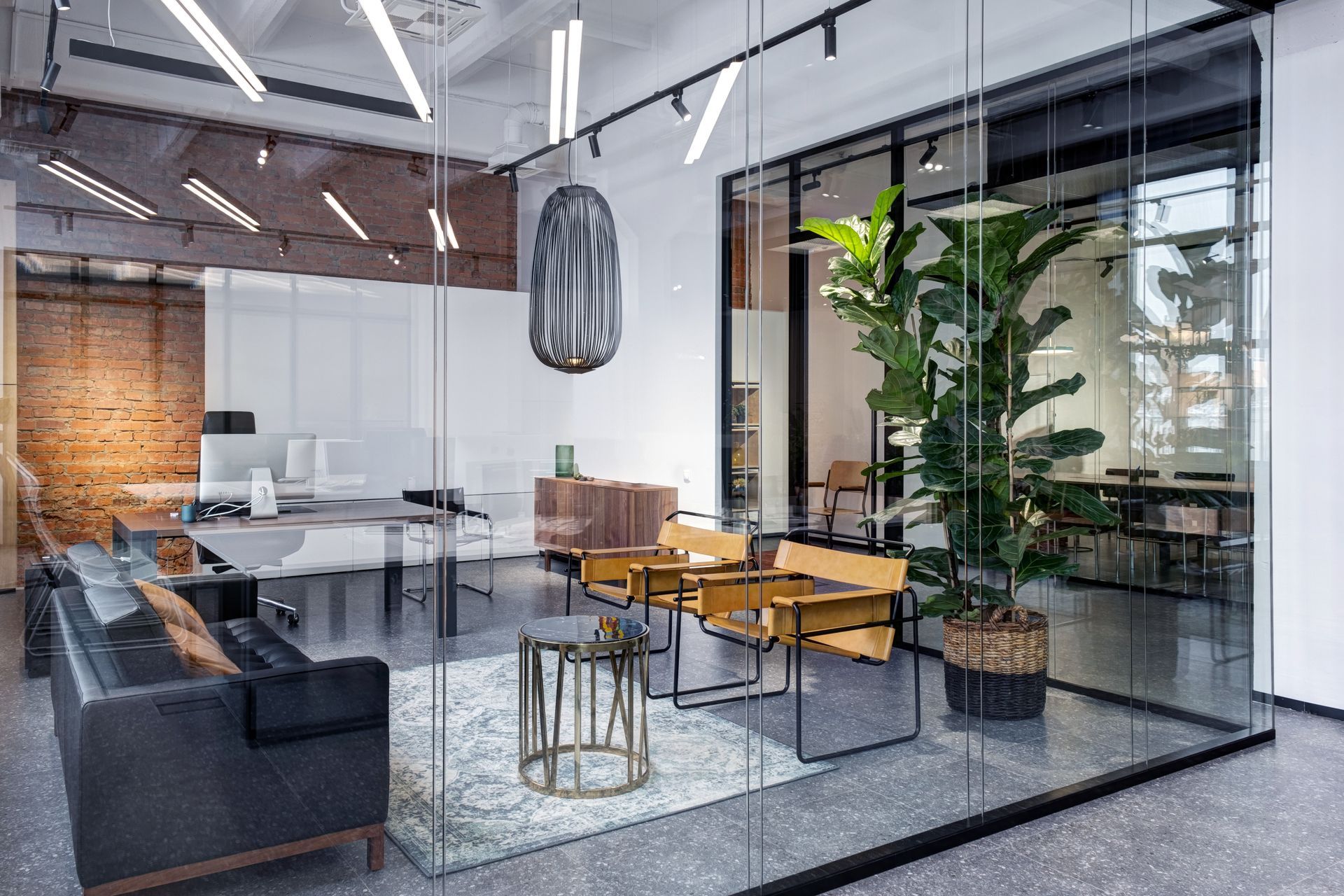 Modern office space with glass walls, furniture, and a large plant.