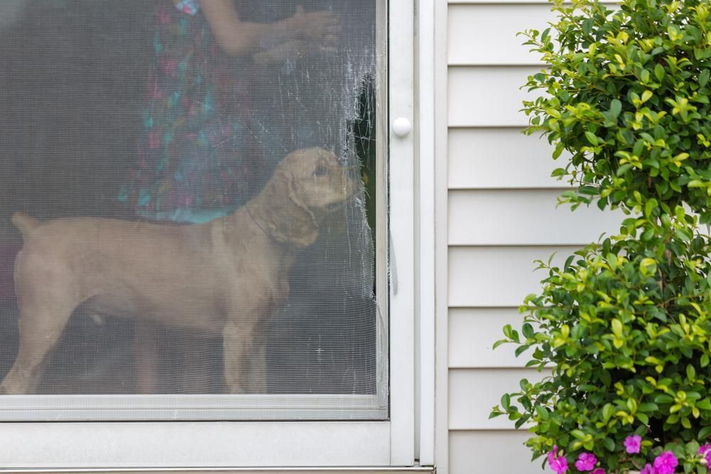 Damaged Screen Door — Midges No More in Taree, NSW