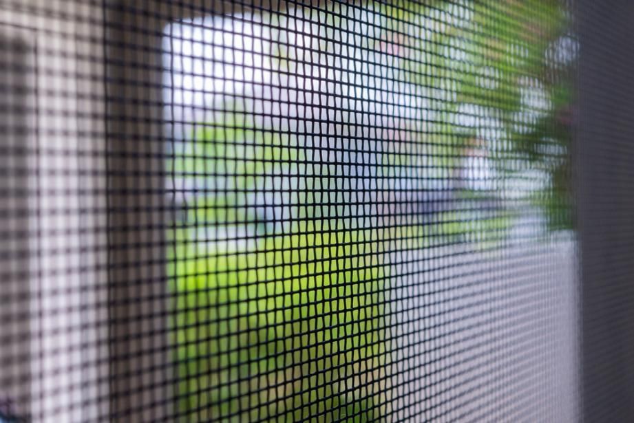 Close-up of a Flyscreen — Midges No More in Taree, NSW