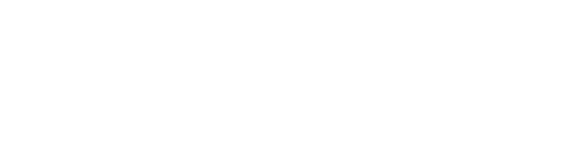 Cedar Mountain Retrievers