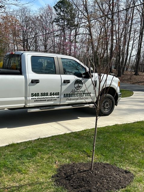 A white truck is parked on the side of the road next to a tree