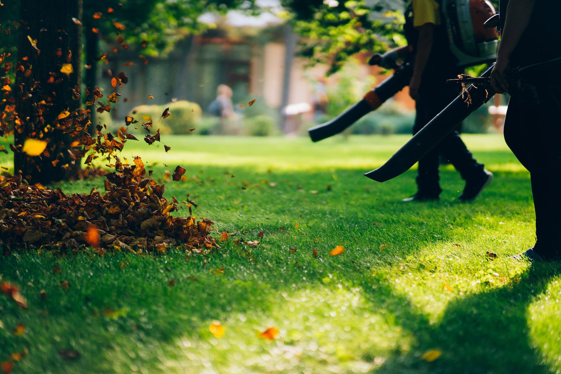 A couple of people are blowing leaves in a park