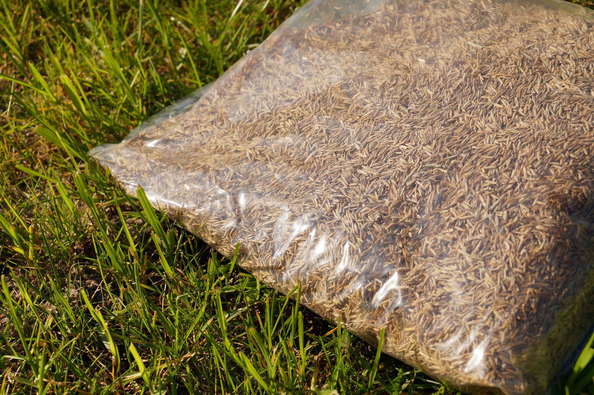 A bag of grass seeds is sitting on top of a lush green field