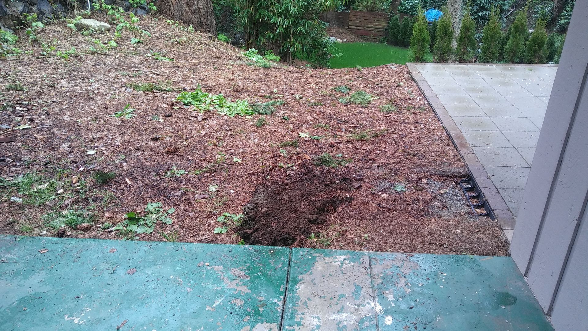 Backyard with mulch bed, green plants, and a stone patio beside a house fence