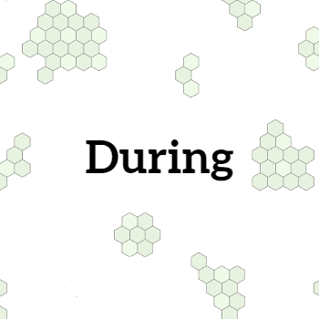 “During” in bold black text on a white background with pale green hexagon clusters scattered around it