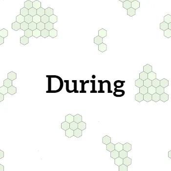 Word “During” centered on a white background with small pale green hexagon clusters around it.