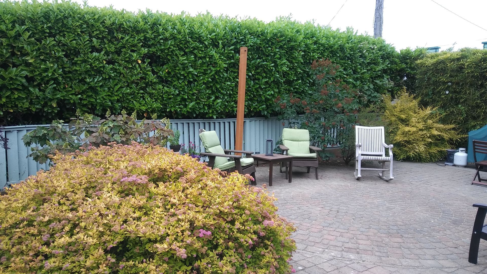 Backyard patio with gravel, green hedges, and outdoor chairs around a small table