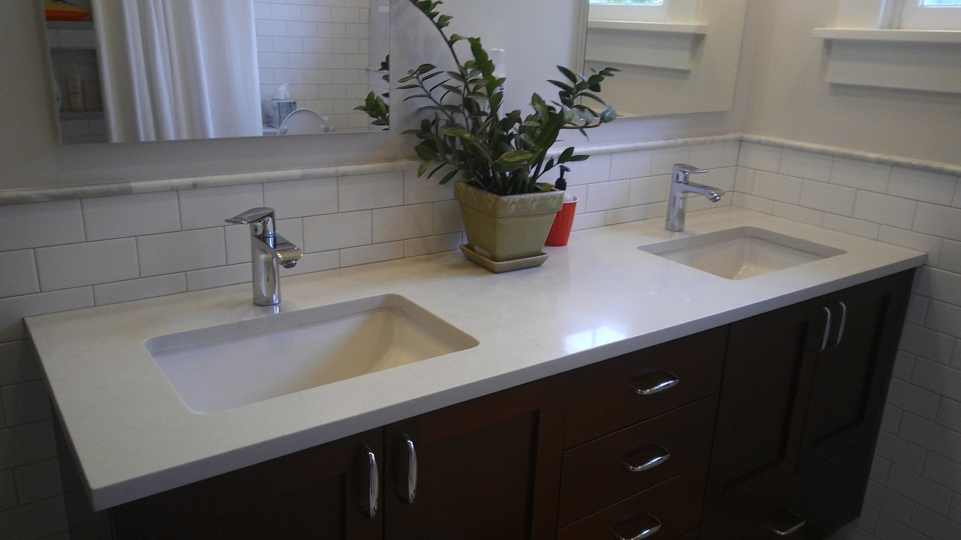 Double bathroom vanity with white countertop, two sinks, chrome faucets, and a potted plant centerpiece