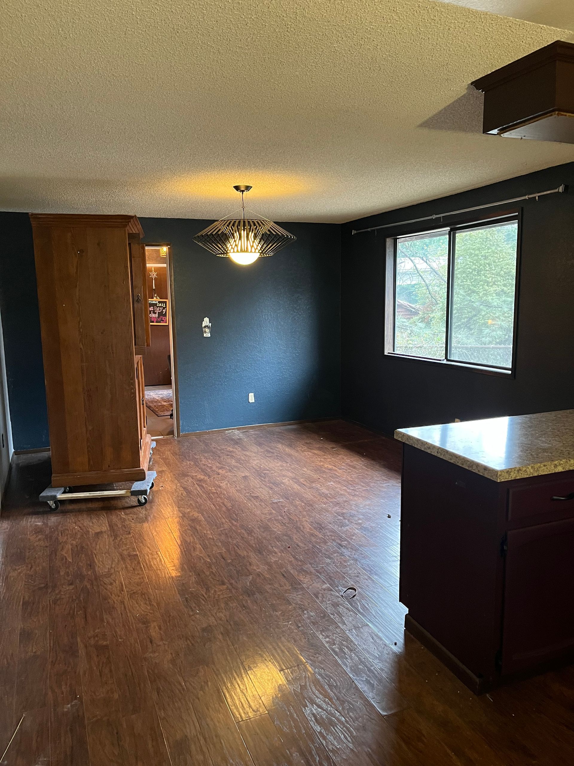 Empty kitchen with dark wood floors, black walls, hanging light, and large windows.