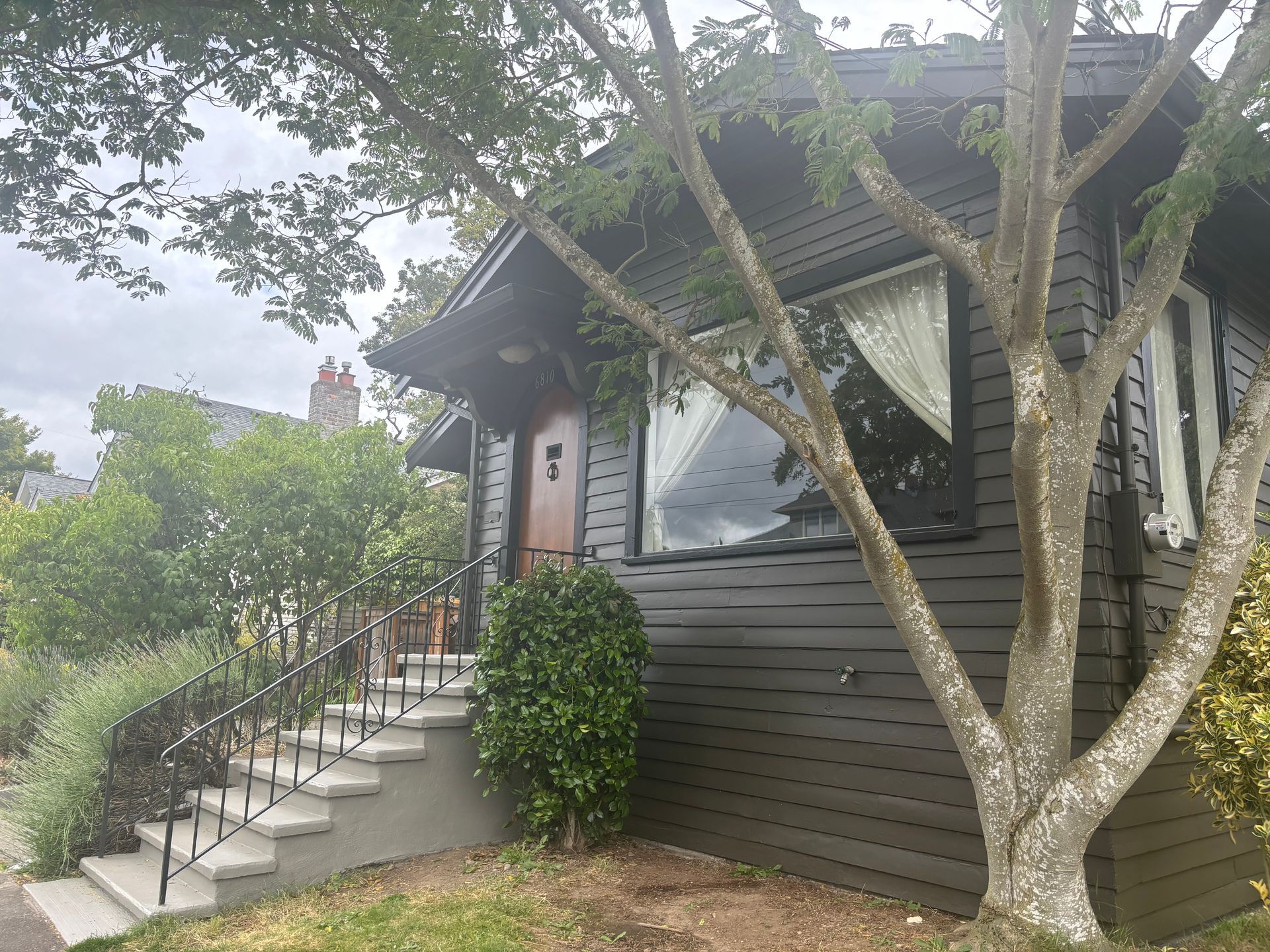 House entrance with stairs, black siding, and a large tree in front