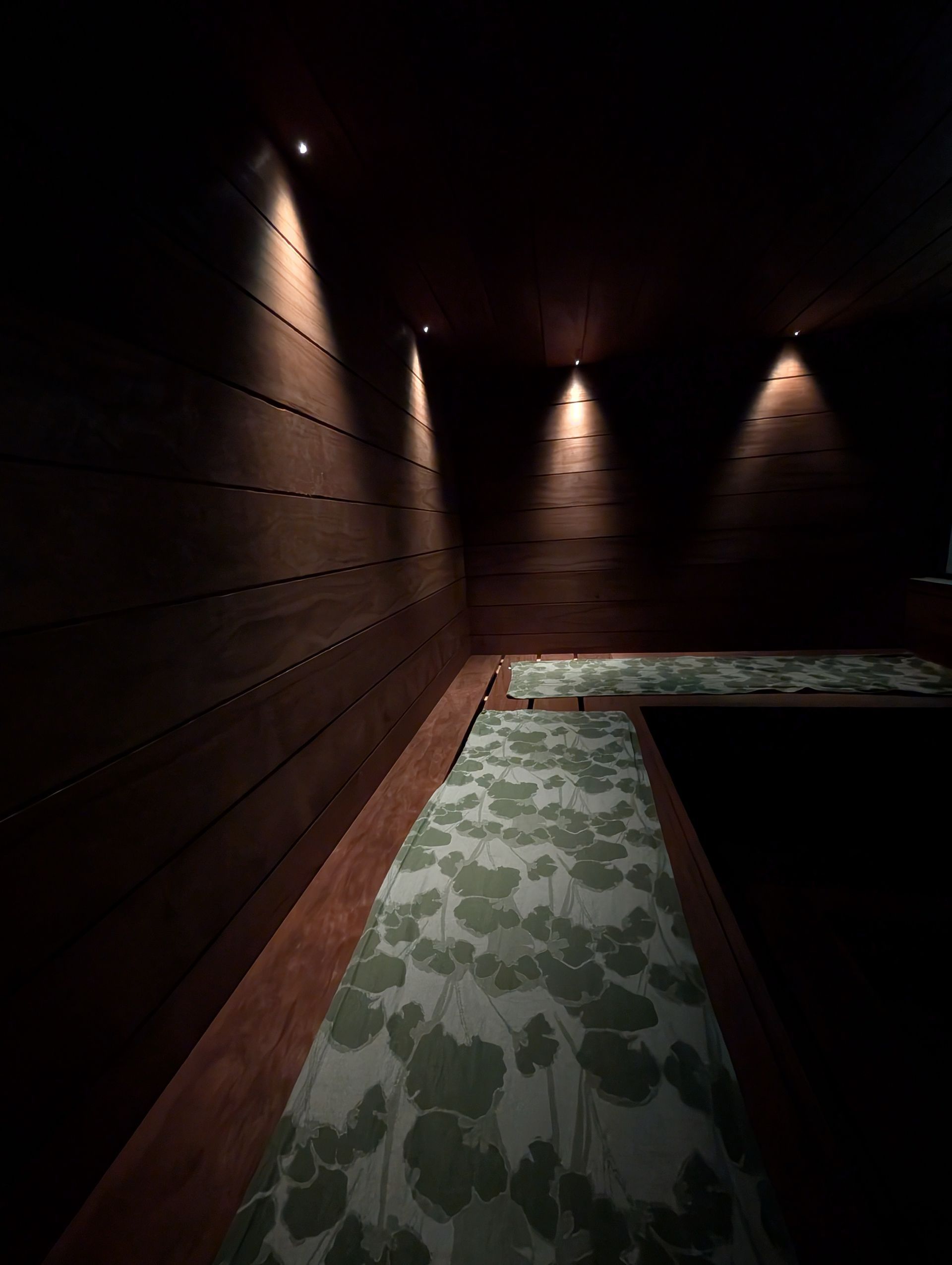 Dim hallway with dark wood walls, wall lights, and a patterned runner rug turning a corner.