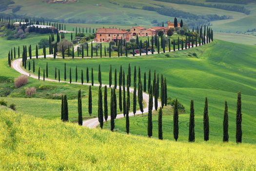 Paesaggi con colli toscani