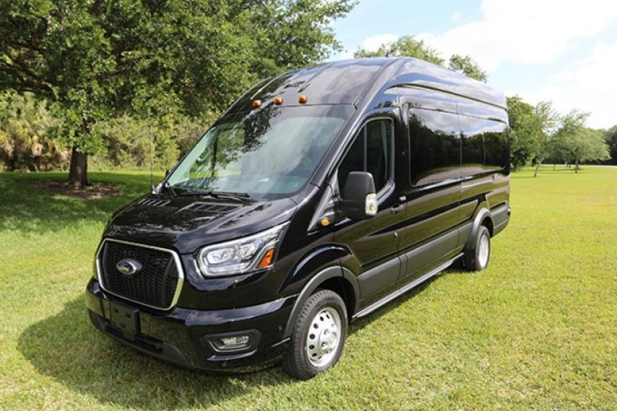 Black passenger van parked on grass in a sunny park beside trees