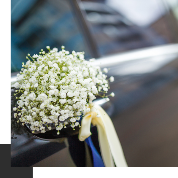 Wedding Transportation