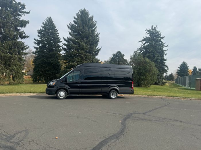 Black cargo van parked on a street beside a grassy area with tall evergreen trees.