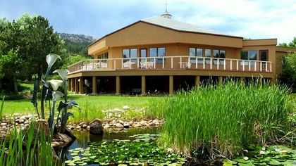 Modern wooden house on stilts beside a pond with lush green reeds and tropical landscaping