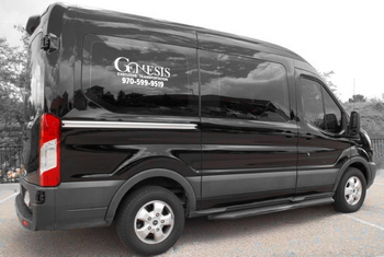 Black Genesis van parked outdoors, side view with company logo on the window