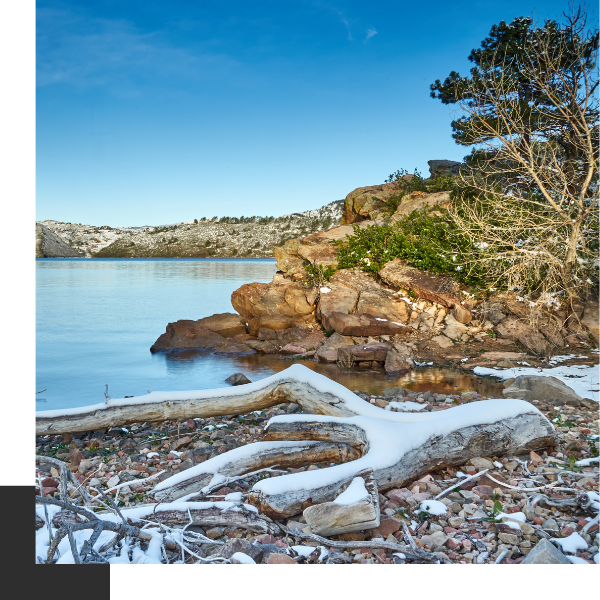 About Wellington