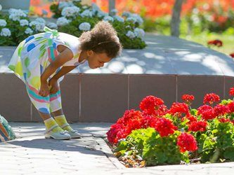 Child bending to smell red flowers in a sunny garden