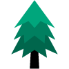 evergreen tree icon