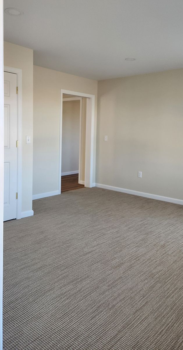 An empty living room with a carpeted floor and a door leading to a closet.