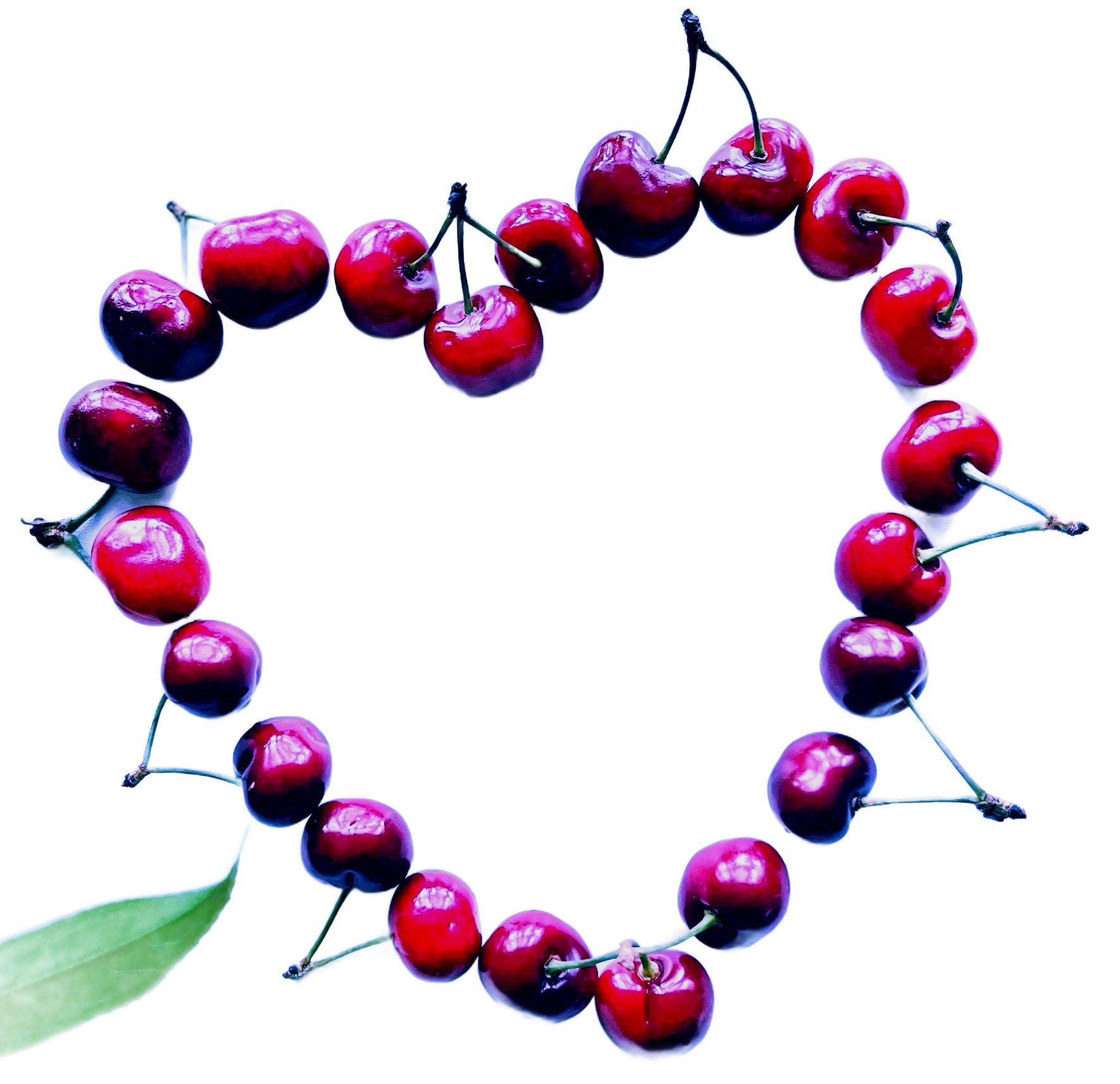 cherry love backwards